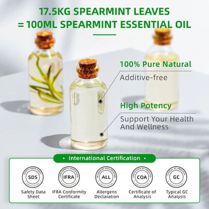 Spearmint Vanilla Rose Cinnamon Lemon Essential Oils,100ML Pure Oil for Diffuser,  Humidifier, Massage Muscle Relief Bath