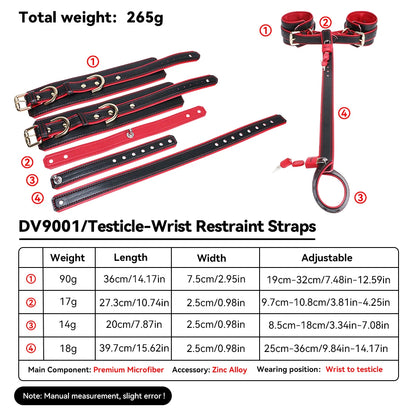 Scrotum Bondage Belts Body Harness